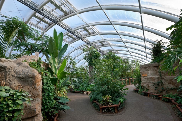 ETFE膜結(jié)構(gòu)-深圳市燁興膜結(jié)構(gòu)工程有限公司 ETFE膜結(jié)構(gòu)1 (20).jpg